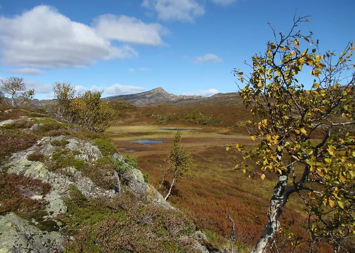 Nordbo Pensjonat