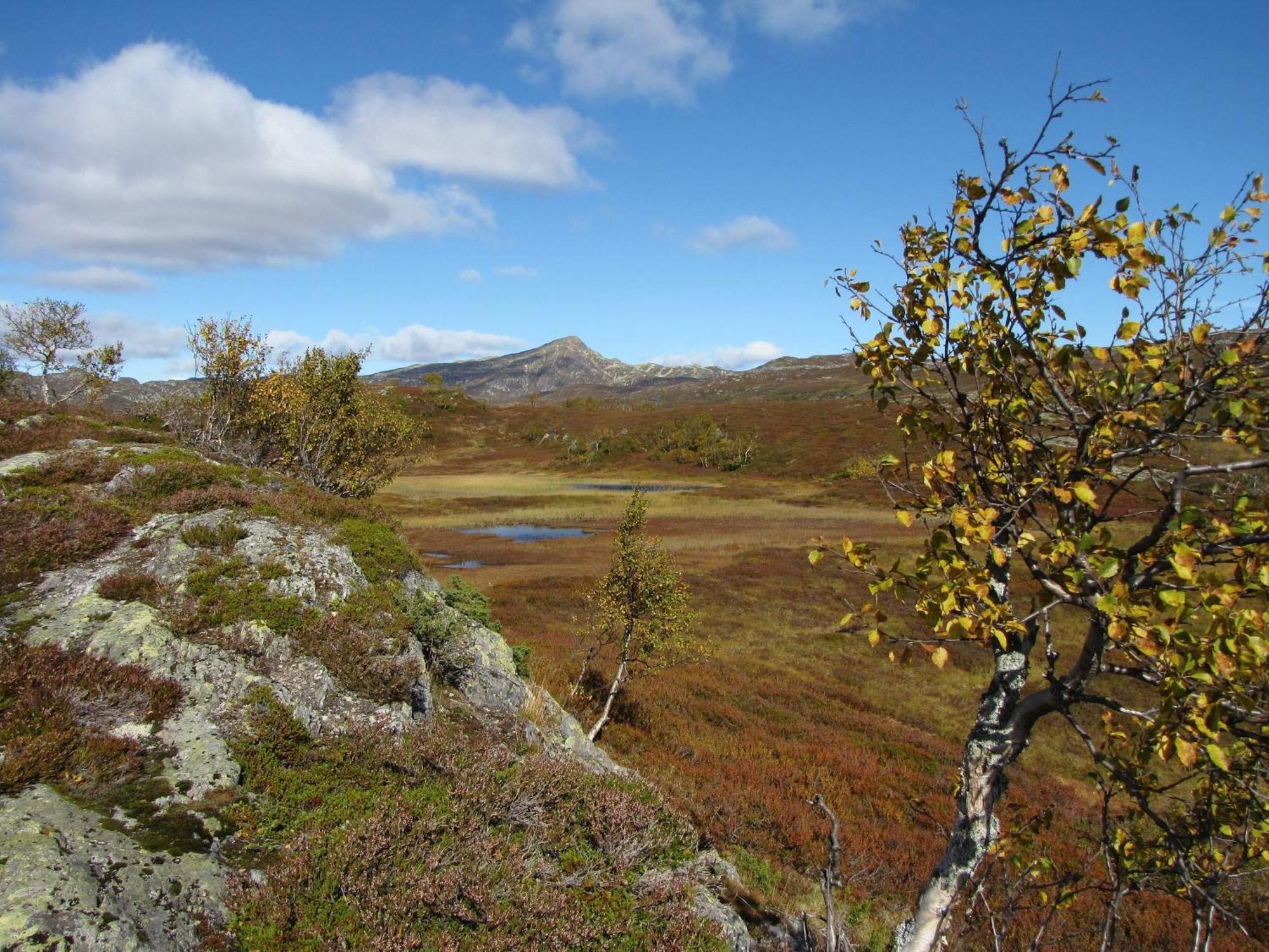 Nordbo *